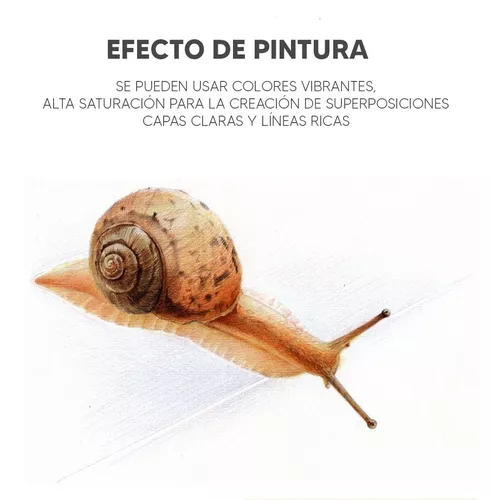 Lápices De Colores Giorgione Set 24 Colores Caja Metálica - Imagen 4