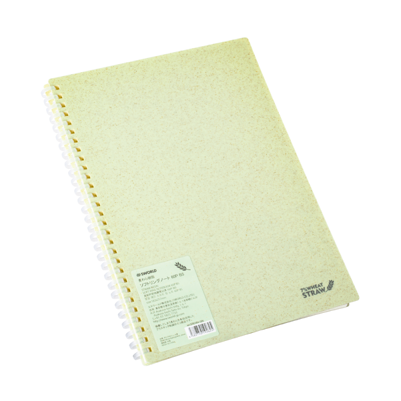 Cuaderno 60 hojas B5 Verde Pastel Anillado Sworld